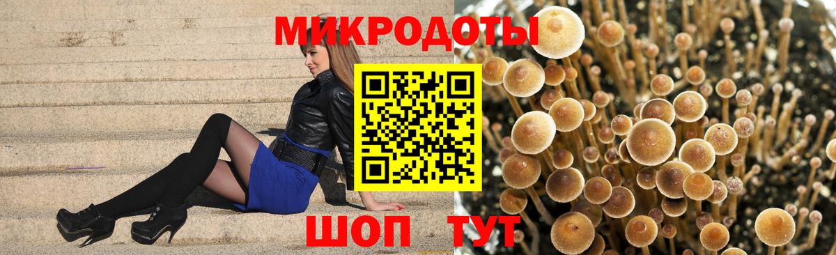 Галлюциногенные грибы Magic Shrooms  как найти закладки  Ржев  Вход с VPN 